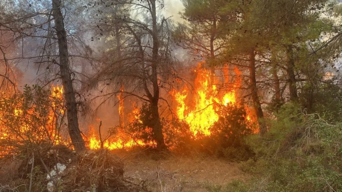 Çanakkale’nin Lapseki ilçesinde orman yangını